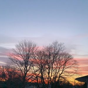 Meet your Posher, Kyla